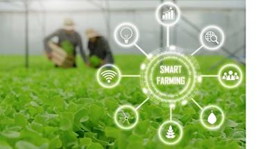 Smart farming: the future of agriculture